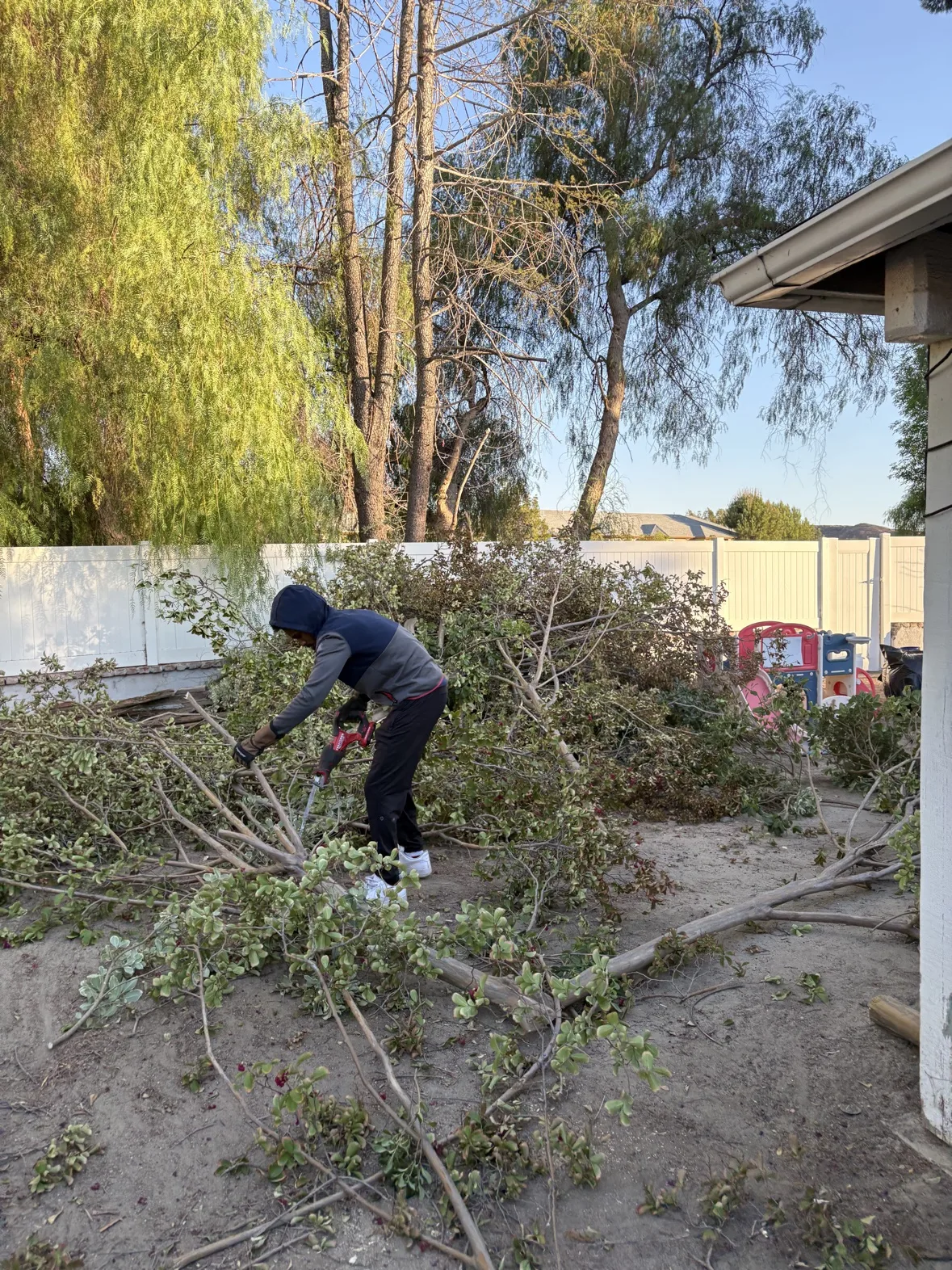 Worker cutting back branches in a yard