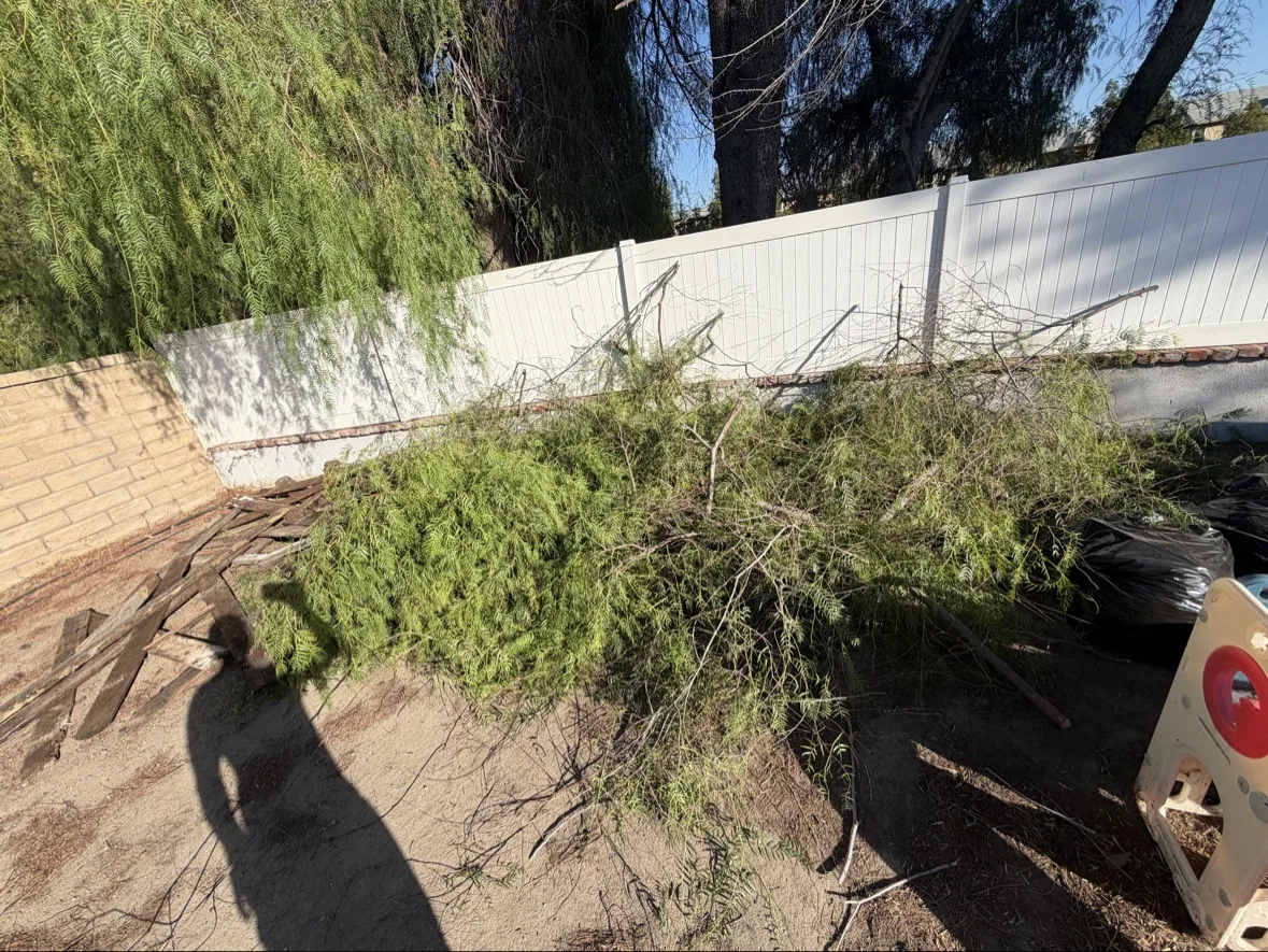 Cut branches and greenery gathered for removal