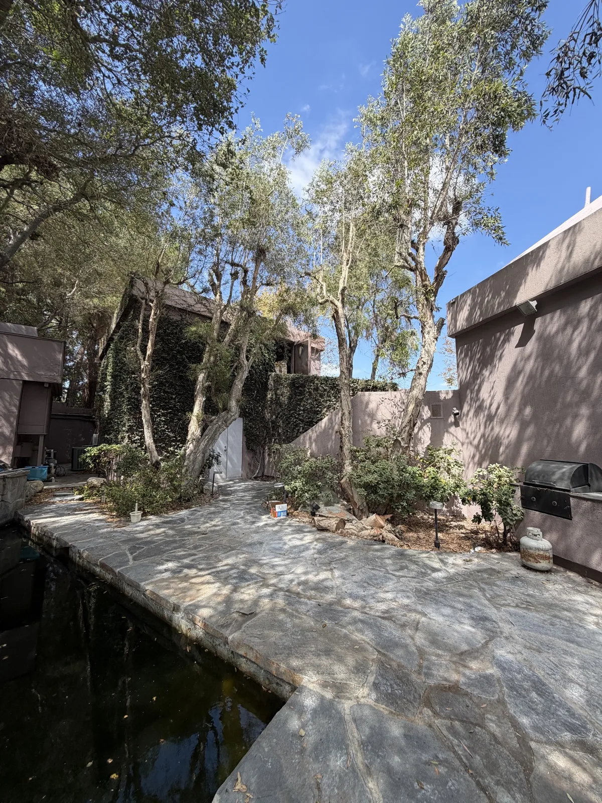 Patio and pool area before hillside brush clearing