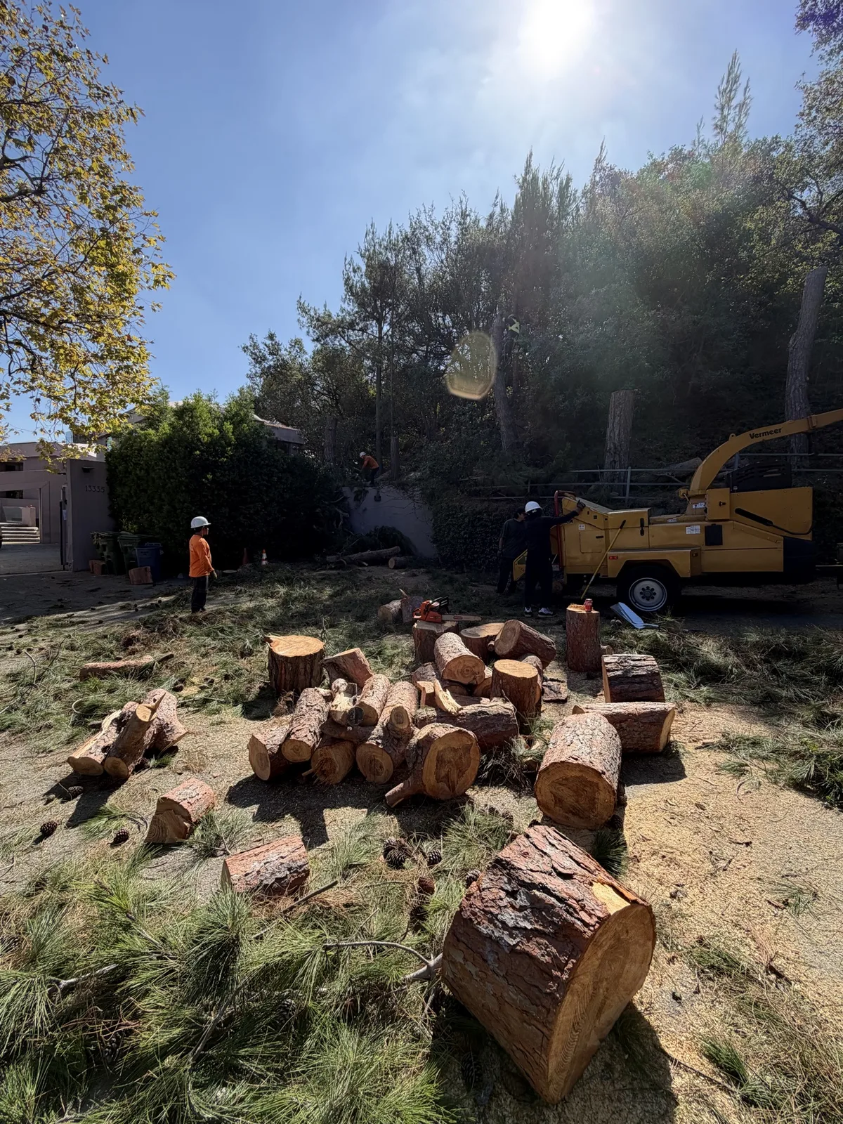 Crew processing cut logs with a wood chipper