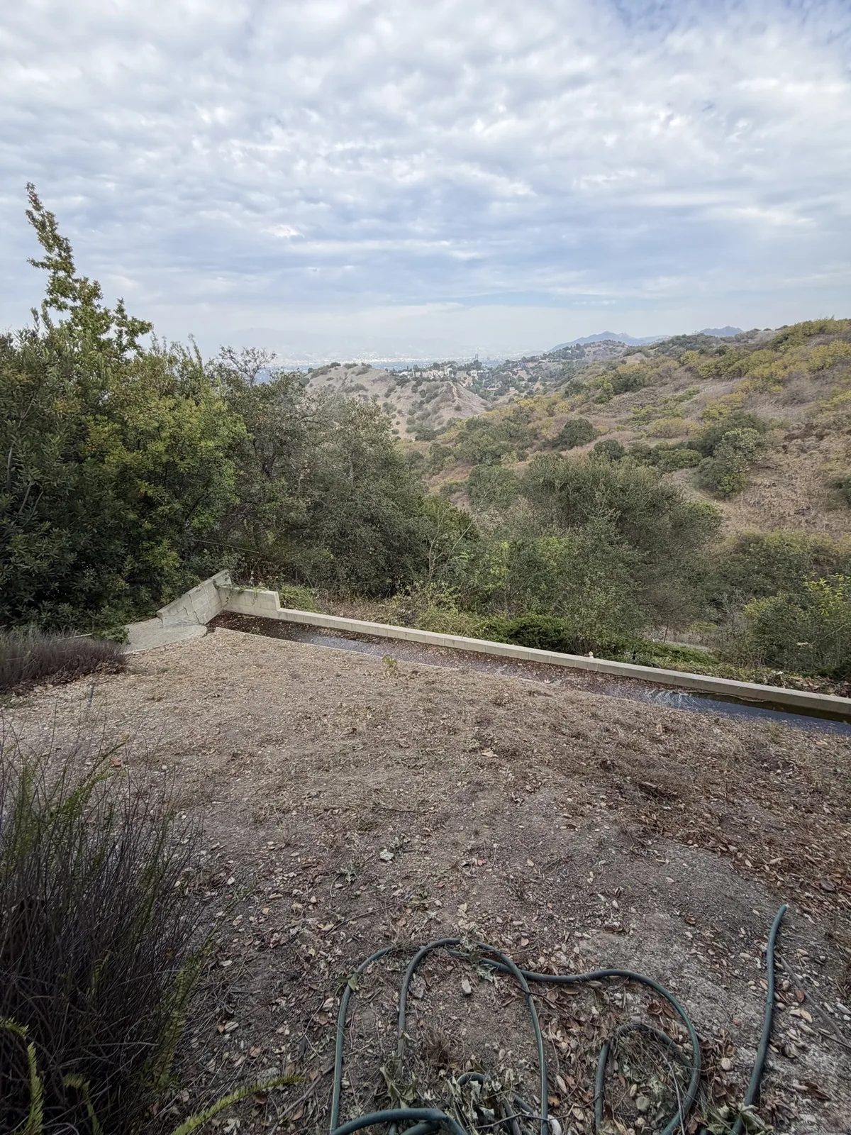 Hillside opened up after tree and brush removal