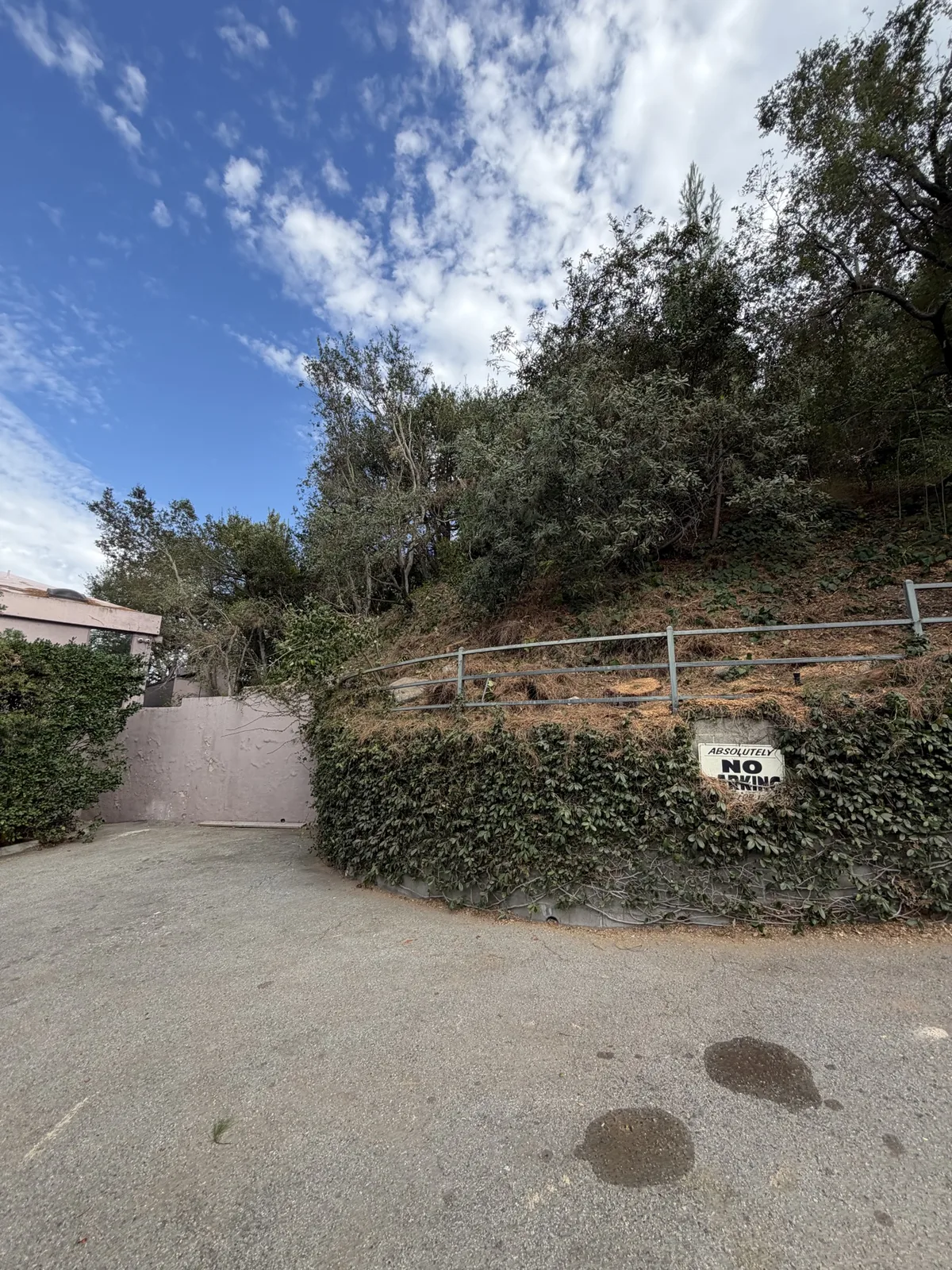 Street view after hillside tree work