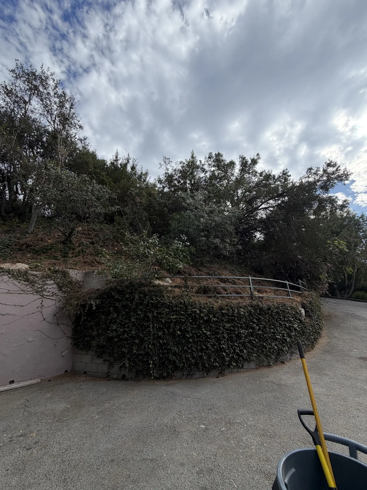 Final cleanup underway on the cleared hillside